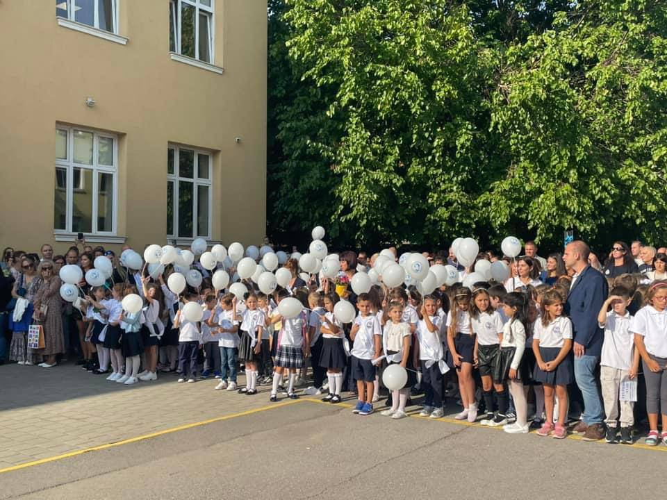 зелени листа в макрофотография